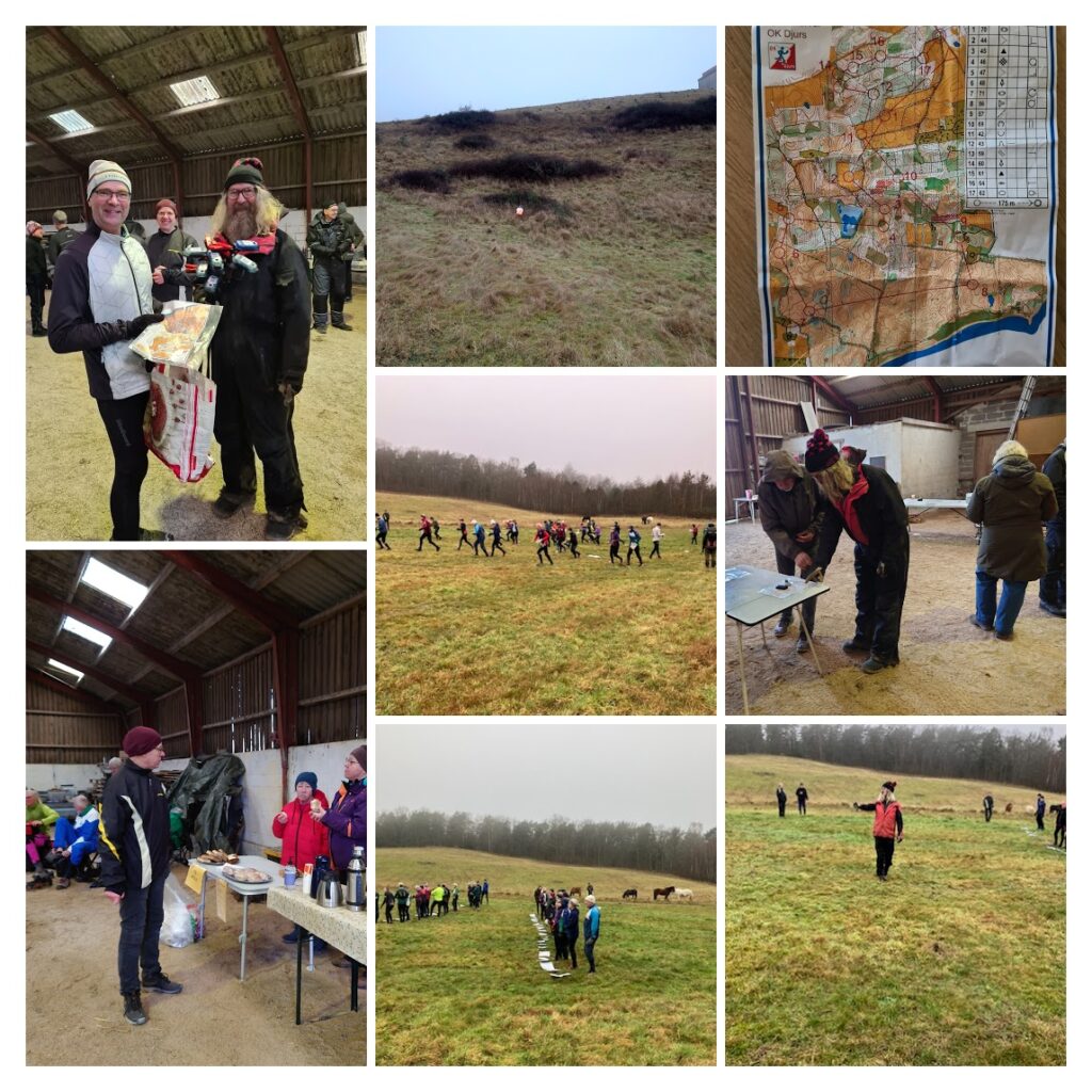 Kollage med Stemning fra Vinterlanng